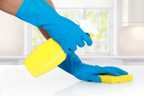 Cleaner using safe cleaning equipment in a professional environment