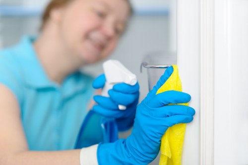 Encryption and security features for Cleaner Barnet payments
