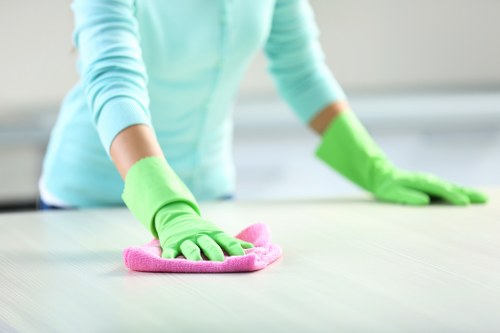 Oven, hob, and extractor cleaning service for Barnet properties