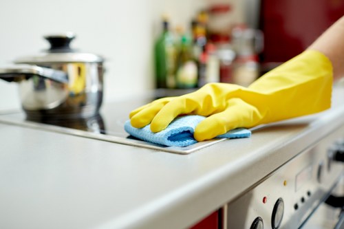 Cleaner Barnet company values professionalism, flexibility, and quality