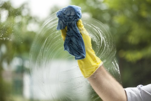 Professional domestic cleaning team working in Barnet